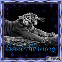 Good Morning Tiger анимиран GIF