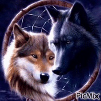 Wolves GIF animado