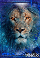 Lion - GIF animasi gratis