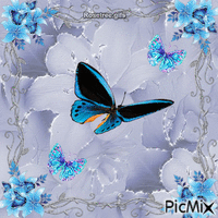 fleurs and butterflys - Animovaný GIF zadarmo
