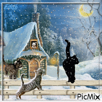 macskák a hóesésben - Ingyenes animált GIF