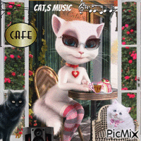 Cat,s  Music Cafe