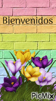 Bienvenidos - Zdarma animovaný GIF