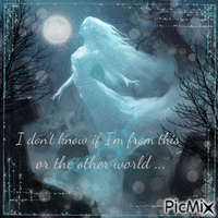 I don't know if I'm from this or the other world. - GIF animado grátis