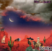 désert du mexique - GIF animé gratuit