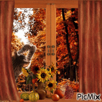 Herbst animovaný GIF