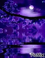Purple Moon - GIF animé gratuit