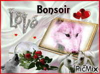 Bonsoir animovaný GIF