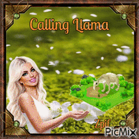 Calling Llama - GIF animé gratuit