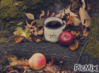 Coffee/Autumn GIF แบบเคลื่อนไหว