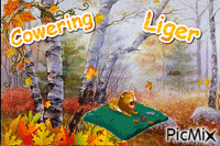 Cowering Liger 1 - Gratis animerad GIF