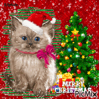 Merry Christmas Cat GIF animé