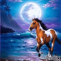 Horse animeret GIF