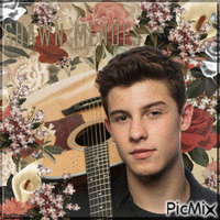 SHAWN MENDES Animated GIF