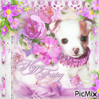 Happy Friday dog - Free animated GIF