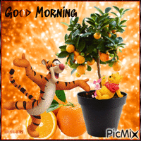 Morning -orange-disney-cartoon
