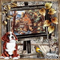 Autumn In The Frame 动画 GIF