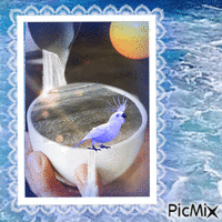 petit déjeuner océanique - Безплатен анимиран GIF
