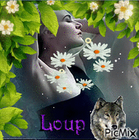 Lupo - 無料のアニメーション GIF