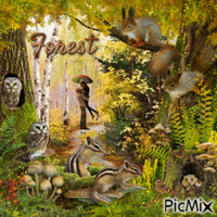 Forest animovaný GIF