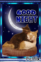 Good Night - Nemokamas animacinis gif