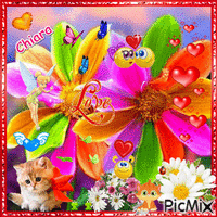 fiori colorati GIF animado