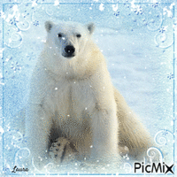 Orso polare Laurachan - GIF animé gratuit