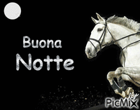 notte - Free animated GIF