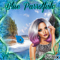 blue parrotfish animált GIF