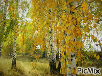Осень - Gratis geanimeerde GIF