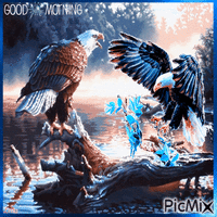 Good morning. Eagles animovaný GIF