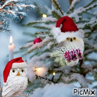 christmas owl animovaný GIF