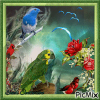 Aves Vermelho, verde, azul GIF animé