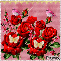 růže pro lásku geanimeerde GIF