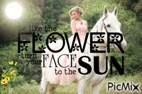 Be like the Flower turn your face to the Sun - Animovaný GIF zadarmo