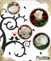 arvores de rosas - 無料のアニメーション GIF