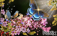 Butterfly - Ücretsiz animasyonlu GIF