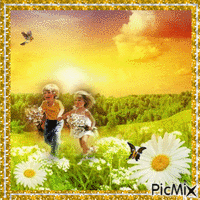 Field of daisies - Free animated GIF