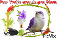 Pour toi Yvette - Безплатен анимиран GIF