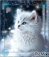chat sous la neige - GIF animado grátis
