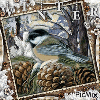 Winter Bird-RM-11-13-23 - Bezmaksas animēts GIF