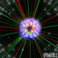 La flor galáctica. - GIF animé gratuit