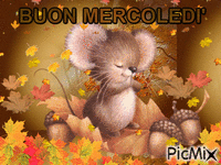 BUON MERCOLEDI' Animated GIF