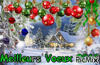 MEILLEURS voeux 2019 - Free animated GIF