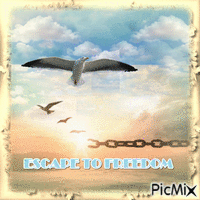 Escape to freedom - Бесплатный анимированный гифка