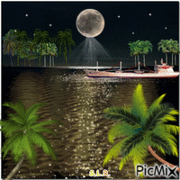 Moon night - Animovaný GIF zadarmo