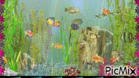 aquarium - Nemokamas animacinis gif