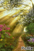 camino de flores - GIF animado grátis