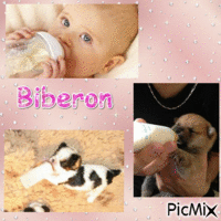 Biberon - Gratis animeret GIF