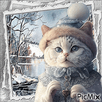 Chaton en hiver, avec un bonnet et un pull - Animovaný GIF zadarmo